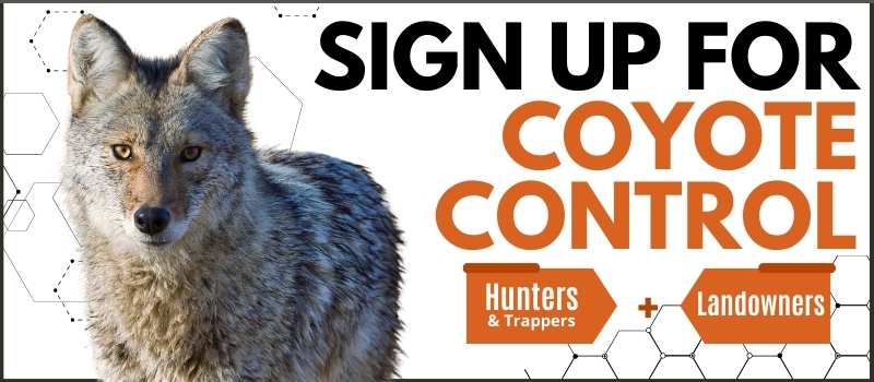 Minnesota Coyote Hunters 