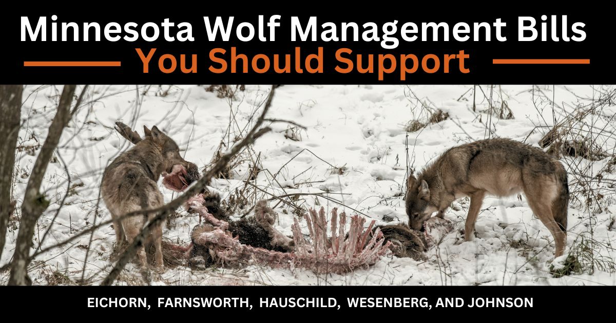 Minnesota Wolf Management Bills