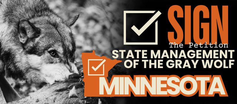 Minnesota Wolf Petition